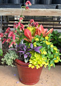 Custom Pot