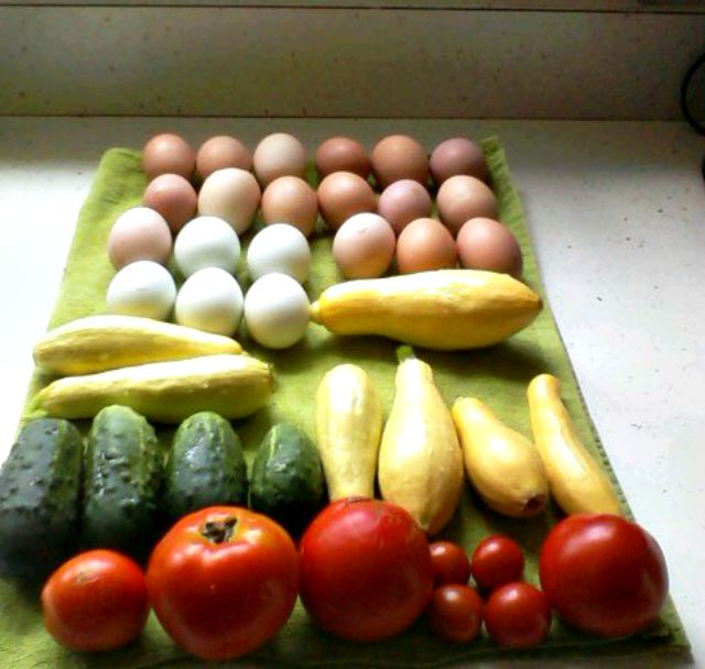 veggie egg harvest