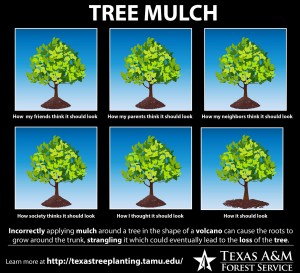 tree mulch