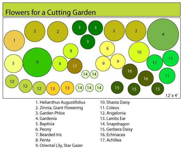 Plans for Cutting Gardens with Planting Map